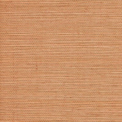 Нет заданного изображения 